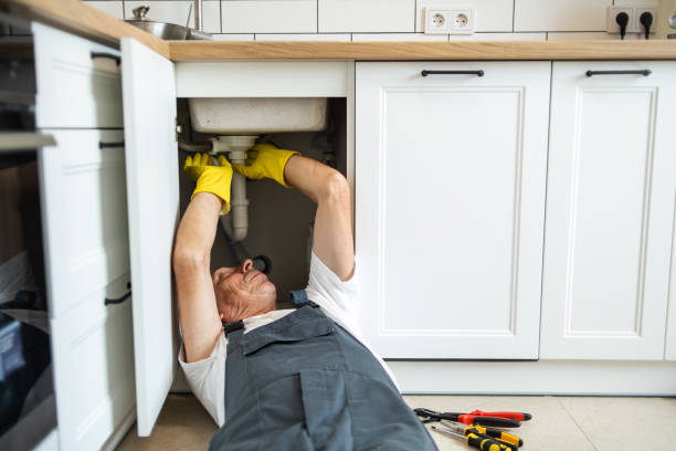 Best Commercial Plumbing Services  in Byron Center, MI