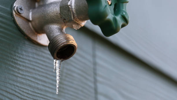 Best Emergency Plumber  in Byron Center, MI